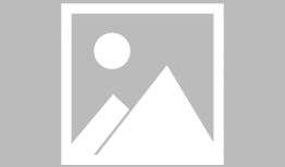 马配驴视频大全,动物界的跨界搭档秀